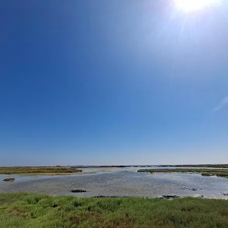 El Niu Del Delta
